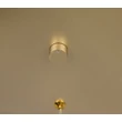 Pendul Trio CALA  metal, auriu, LED, 57W, 6750lm, 2300K-3000K-4000K - Trio-354811579