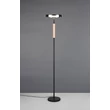 Lampadar Trio CELESTE, metal, sticla, negru, fumuriu, LED, 15W, 1750lm, 3000K - Trio-454910132