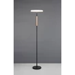 Lampadar Trio CELESTE, metal, sticla, negru, fumuriu, LED, 15W, 1750lm, 3000K - Trio-454910132