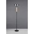 Lampadar Trio CELESTE, metal, sticla, negru, fumuriu, LED, 15W, 1750lm, 3000K - Trio-454910132