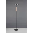 Lampadar Trio CELESTE, metal, sticla, negru, alb, LED, 15W, 1750lm, 3000K - Trio-454910165