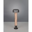 Lampadar exterior Trio FRASER metal, lemn, antracit, E27, IP54 - Trio-562560135