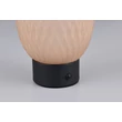 Veioza Trio DACETTE  metal, sticla, negru, chihlimbar, LED, 1W, 140lm, 3000K - Trio-564210113
