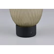 Veioza Trio FACETTE  metal, sticla, negru, verde, LED, 1W, 140lm, 3000K - Trio-564210115