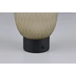 Veioza Trio FACETTE  metal, sticla, negru, verde, LED, 1W, 140lm, 3000K - Trio-564210115