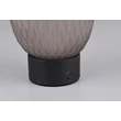 Veioza Trio FACETTE  metal, sticla, negru, gri, LED, 1W, 140lm, 3000K - Trio-564210154