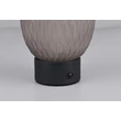 Veioza Trio FACETTE  metal, sticla, negru, gri, LED, 1W, 140lm, 3000K - Trio-564210154