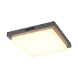 Plafoniera exterioara cu senzor Trio BERMEJO metal, plastic, antracit, alb, LED, 14W, 2300-3000-4000K, 1450Lm, IP54 - 630369242