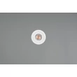 Spot incastrabil Trio LAMONT metal, plastic, alb, LED, 6.5W, 3000K, 650Lm,IP65 - 635310131