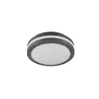 Plafoniera exterioara Trio PIAVE metal, plastic, antracit, alb, LED, 3000K, 11W, 1180lm, IP54 - 676960142