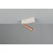 Aplica de perete Trio AMBALA metal, maro, LED, 5.5W, 2300-3000-4000K, 500Lm - 849210165