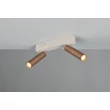 Plafoniera Trio AMBALA metal, maro, LED, 11W, 2300-3000-4000K, 1000Lm - 849210265