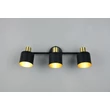 Plafoniera Trio EVA metal, negru, auriu, E14 - 868800380