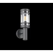 Aplica de perete exterior Trio PALOMA metal, antracit, E27, IP44 - Trio-R21716142