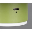 Aplica de perete Trio DAVEY  metal, verde, LED, 1W, 140lm, 3000K - Trio-R24431115