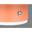 Aplica de perete Trio DAVEY  metal, portocaliu, LED, 1W, 140lm, 3000K - Trio-R24431140