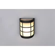 Aplica de perete exterior Trio SINTRA metal, sticla, negru, alb, E27, IP44 - Trio-R26456132