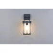 Aplica de perete exterior Trio ALMERIA metal, plastic, antracit, transparent. E27, IP44 - Trio-R26476142