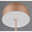Lampadar Trio BLAKE  metal, maro, LED, 2W, 250lm, 3000K - Trio-R49151165