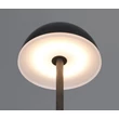 Veioza Trio TEMBO plastic, transparent, negru, RGB-LED, 4.5W, 3000-4200-6500K, 420Lm - R53851102
