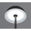 Veioza Trio TEMBO plastic, transparent, negru, RGB-LED, 4.5W, 3000-4200-6500K, 420Lm - R53851102