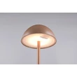Veioza Trio RICARDO  plastic, maro, LED, 2W, 240lm, 3000K, IP54 - Trio-R54106165