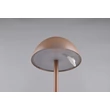 Veioza Trio RICARDO  plastic, maro, LED, 2W, 240lm, 3000K, IP54 - Trio-R54106165