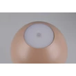 Veioza Trio RICARDO  plastic, maro, LED, 2W, 240lm, 3000K, IP54 - Trio-R54106165