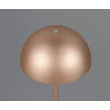 Veioza Trio MUNOZ  metal, maro, LED, 1W, 120lm, 3000K - Trio-R54891165