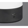 Veioza Trio DOOLEY  metal, sticla, negru, alb, LED, 1W, 140lm, 3000K - Trio-R54981131