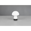 Veioza Trio DOOLEY  metal, sticla, negru, alb, LED, 1W, 140lm, 3000K - Trio-R54981131