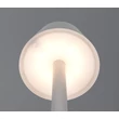 Veioza Trio VIDAL  plastic, gri, LED, 1.5W, 150lm, 3000K, IP44 - Trio-R54991177