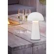 Lampa decor exterior Trio JAMAICA plastic, alb, RGB-LED, 3000K, 2.5W, 25lm - R55086101