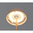 Veioza Trio ORTIZ  plastic, maro, LED, 2W, 150lm, 3000K, IP44 - Trio-R55601165