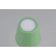 Veioza Trio DIAZ  metal, verde, LED, 1W, 160lm, 2700K-6500K, IP44 - Trio-R55961149