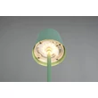 Veioza Trio DIAZ  metal, verde, LED, 1W, 160lm, 2700K-6500K, IP44 - Trio-R55961149