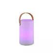 Lampa decor exterior Trio ARUBA plastic, alb, RGB-LED, 3000K, 1W, 70lm, IP44 - R57080101