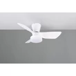 Corp de iluminat cu ventilator Trio RANDERS plastic, alb, LED, 20W, 2500lm, 2700K-6000K - Trio-R64412131
