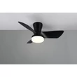 Corp de iluminat cu ventilator Trio RANDERS plastic, negru, LED, 20W, 2500lm, 2700K-6000K - Trio-R64412132
