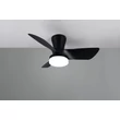 Corp de iluminat cu ventilator Trio RANDERS plastic, negru, LED, 20W, 2500lm, 2700K-6000K - Trio-R64412132