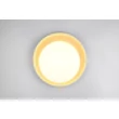 Plafoniera Trio ALETA plastic, auriu, LED, 24W, 2500lm, 2700K-6500K - R64611179