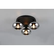 Plafoniera Trio DIVINA metal, sticla, negru, fumuriu, E14 - R66643054