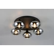 Plafoniera Trio DIVINA metal, sticla, negru, fumuriu, E14 - R66645054