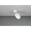 Spot Trio BIDAR metal, alb, E14 - Trio-R81571731