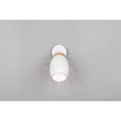 Spot Trio BIDAR metal, alb, E14 - Trio-R81571731