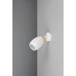 Spot Trio BIDAR metal, alb, E14 - Trio-R81571731