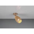Spot Trio BIDAR metal, cafenea, E14 - Trio-R81571765