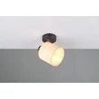 Aplica de perete Trio AIMEE metal, natur, negru, bej, E14 - R81851736