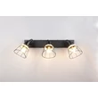 Spot Trio JEROME metal, ratan, negru, natural, E27 - Trio-R86233032