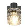 Aplica de perete Trio JACK metal, sticla, negru, fumuriu, E27 - R86421732